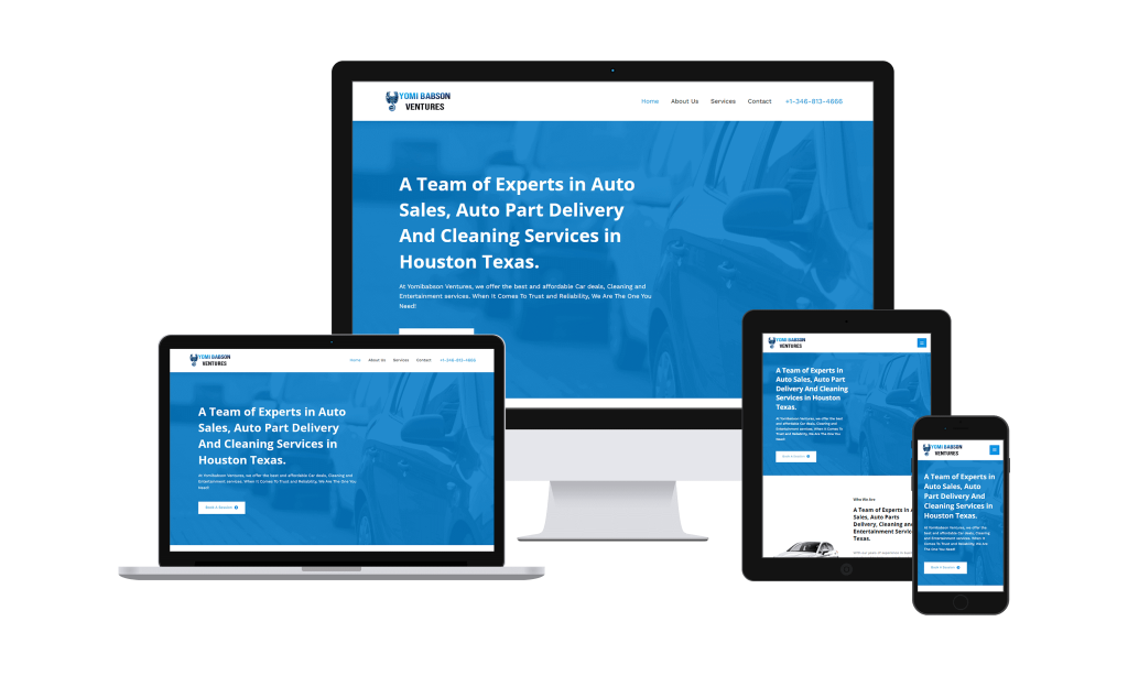 ebanks technologies, efe bankole, web designer