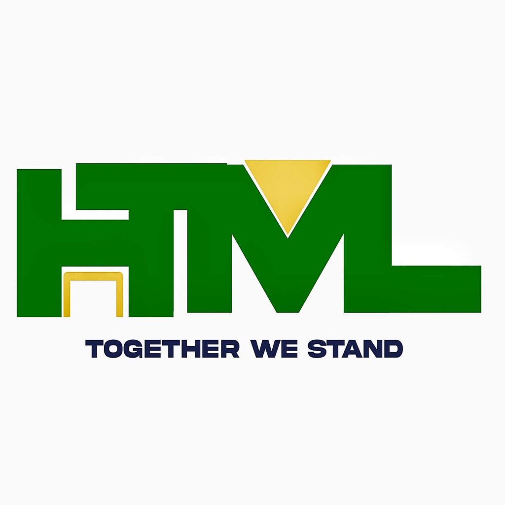 ebanks technologies, efe bankole, web designer