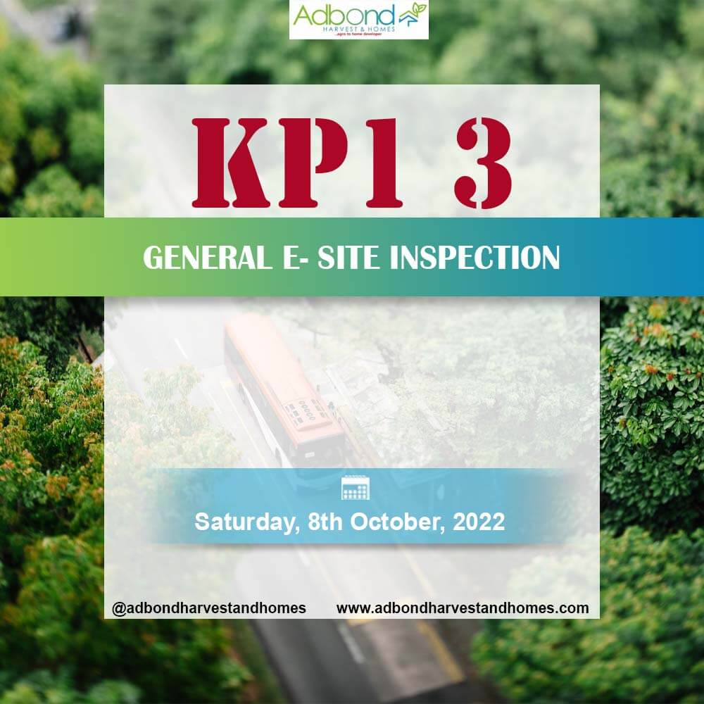 ebanks technologies, efe bankole, web designer