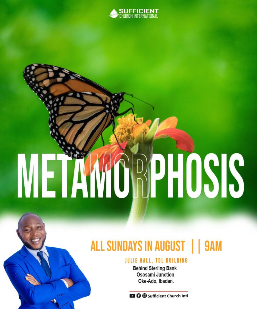 ebanks technologies, efe bankole, web designer